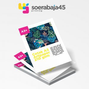 Kertas AP210